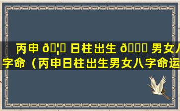 丙申 🦟 日柱出生 🐋 男女八字命（丙申日柱出生男女八字命运如何看详解）